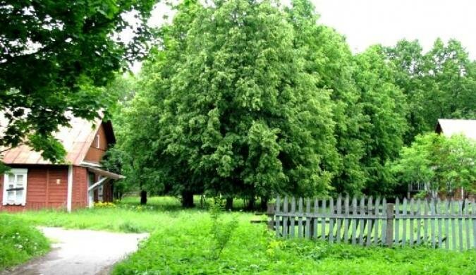 фотографии Земля для бизнеса, Верея Земля для бизнеса, Верея